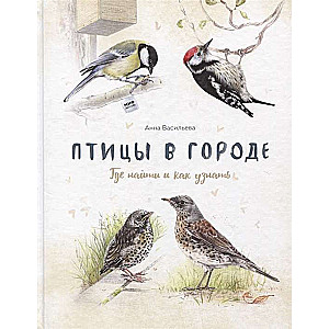 Putni pilsētā. Kur atrast un kā atpazīt
