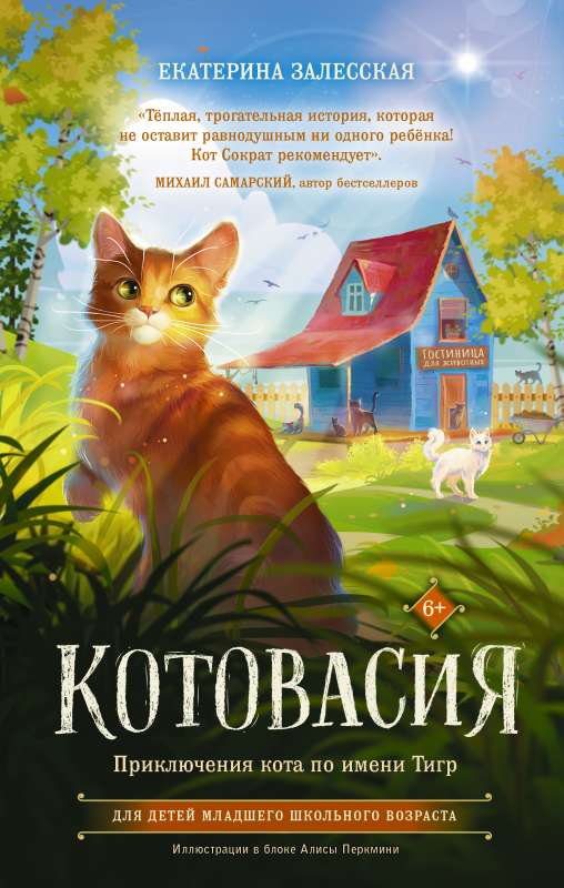 Kotovasija. Piedzīvojumi kaķim vārdā Tigrs