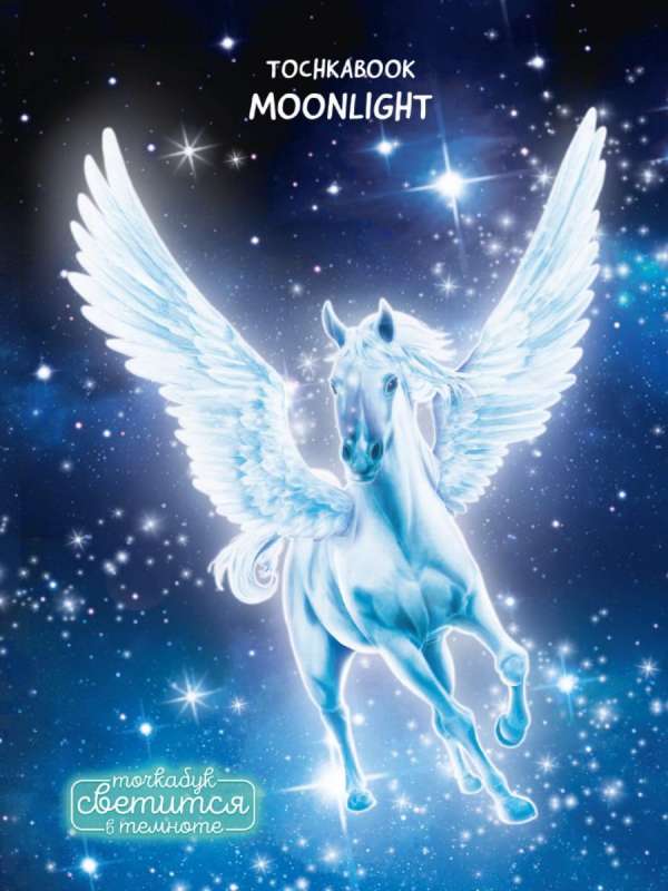 Tochkabook. Moonlight. Burvju pegass 72 lapas, kas spīd tumsā