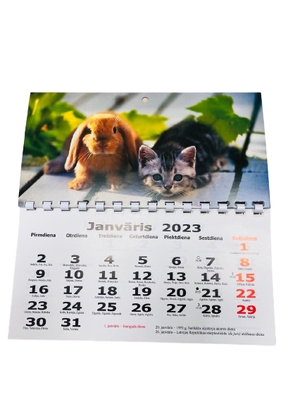 Настенный календарь 2023 IRARS (1 месяц, 100 x 205 мм) (LV)