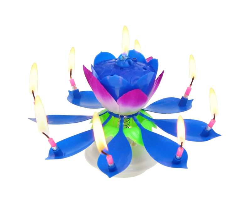 Svece-puķe ar mūziku, zila