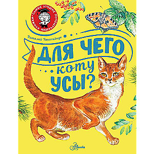 Kāpēc kaķim ir ūsas?