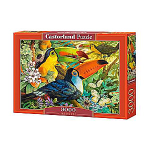 Puzle 3000 CASTORLAND Interlude