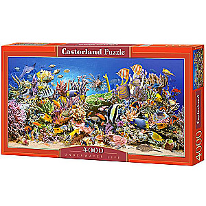 Puzle 4000 CASTORLAND  Zemūdens dzīvība