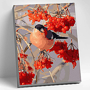 Glezniecība pēc cipariem 30x40 Krāsains audekls BULLFINCH UZ VIBURNUM OTAS 28 krāsas 