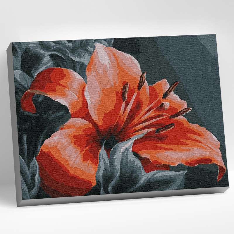 Glezna pēc numuriem 30x40 Krāsains audekls ORANŽA LILJA 16 krāsas