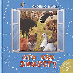 Kā katrs ziemo?