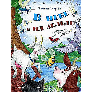 В небе и на земле