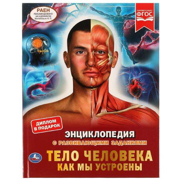 Cilvēka ķermenis. Kā mēs esam iekārtoti