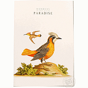 A4 formāta piezīmju grāmata, 80 lapas līnijās Paradise