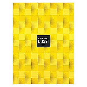 A5 formāta piezīmju grāmata, 80 lapas līnijās BUSY, assorti