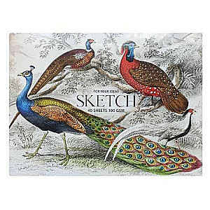Zīmēšanas albums A4+ SKETCH, 40 lapas