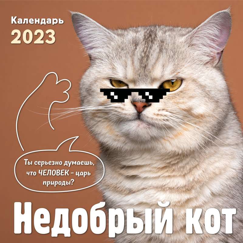 Недобрый кот. Календарь настенный на 2023 год 300х300