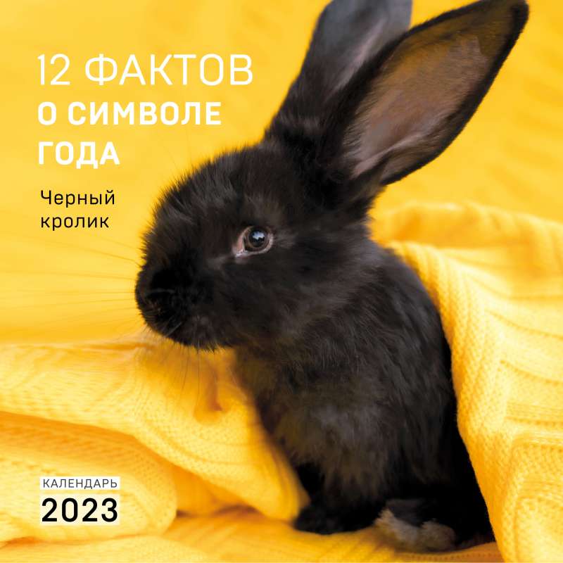 12 фактов о символе года. Черный кролик. Календарь настенный на 2023 год 300х300