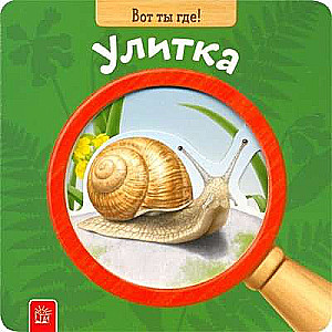 Lūk, kur tu esi! Gliemezis