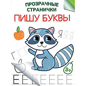Rakstu burtus