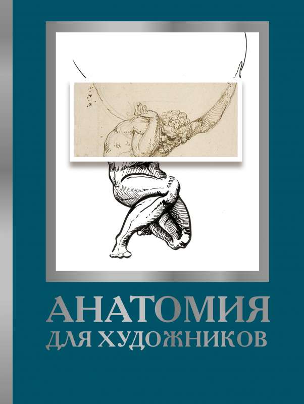 Anatomija māksliniekiem