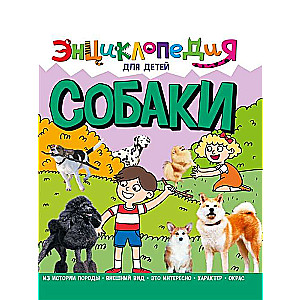 Suņi