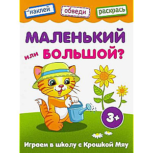 Mazi vai lieli