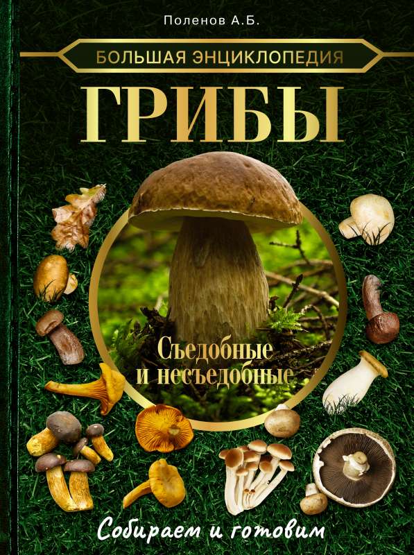 Lielā enciklopēdija. Sēnes. Edamās un neēdamās. Vācam un gatavojam.