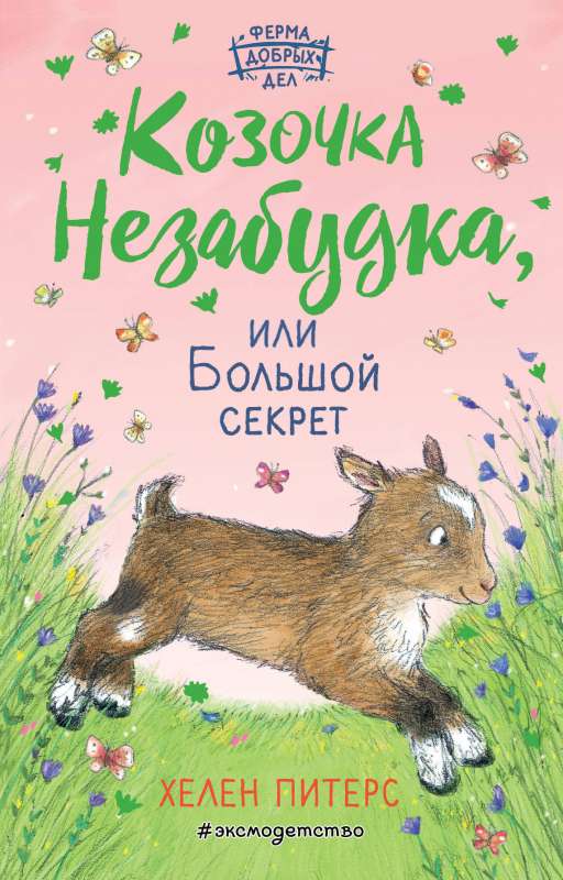 Aituņa Nezabudka, vai Lielais noslēpums