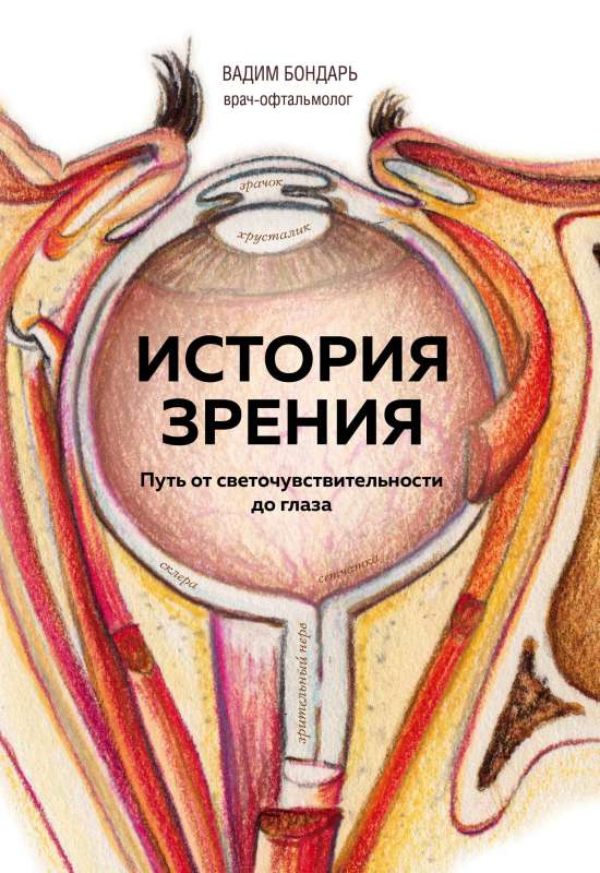 Vīzija vēsture: ceļš no gaismas jutības līdz acij