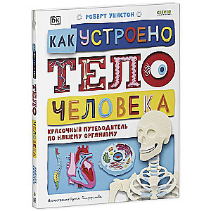 Kā ir iekārtots cilvēka ķermenis. Krāsains ceļvedis mūsu organismā