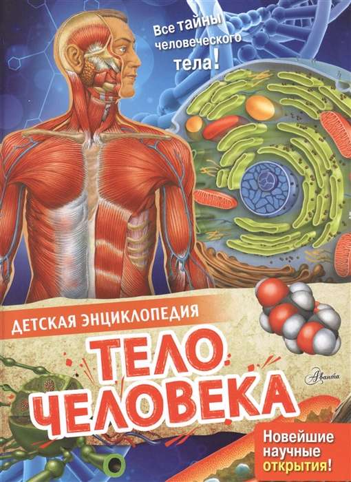 Cilvēka ķermenis