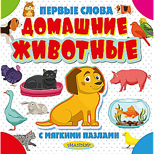 Mājas dzīvnieki