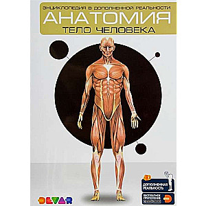 Anatomija. Cilvēka ķermenis