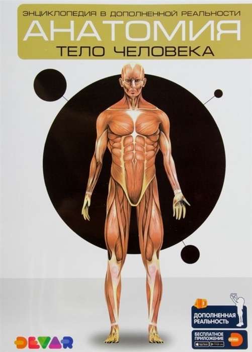 Анатомия. Тело человека