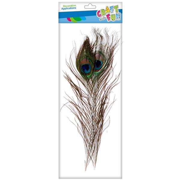Dekors radošumam - Pāvila spalvas 30-32cm 2gab.