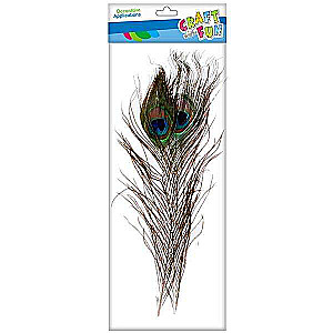 Dekors radošumam - Pāvila spalvas 30-32cm 2gab.