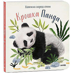 Kruša Panda