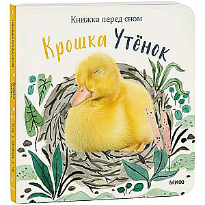Krauklis Pīlēns