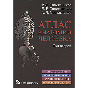 Cilvēka anatomijas atlants 3 sējumos. Sējums 2. Mācība par iekšējiem orgāniem, endokrīnām dziedzeriem, sirds un asinsvadu