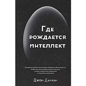 Где рождается интеллект