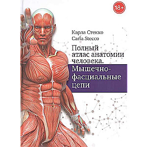Pilns cilvēka anatomijas atlants. Muskuļu-fasciju ķēdes