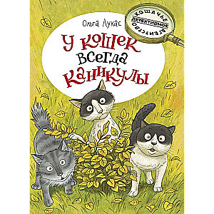 Kaķiem vienmēr ir brīvdienas