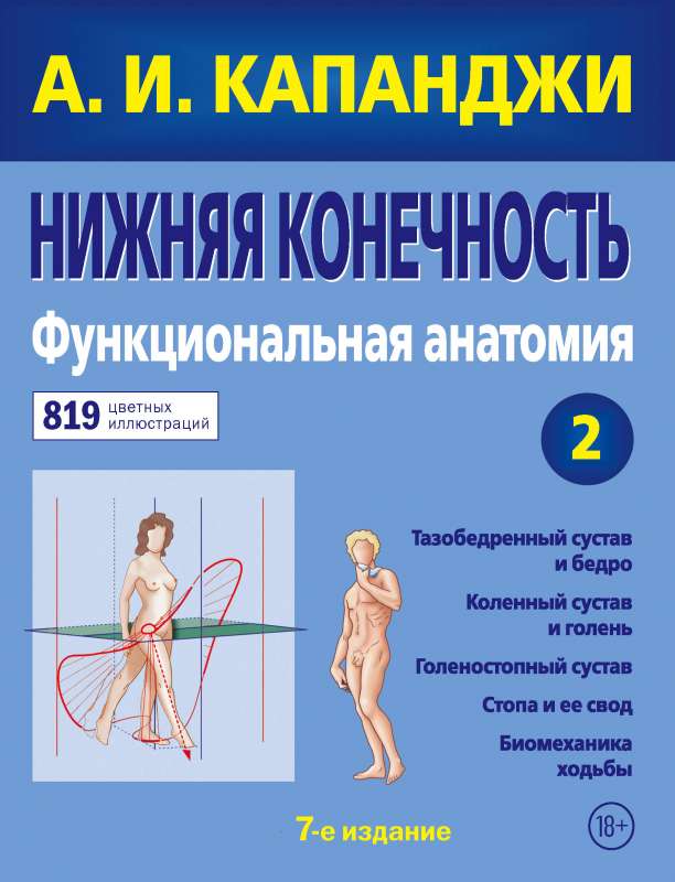 Apakšējā ekstremitāte: Funkcionālā anatomija