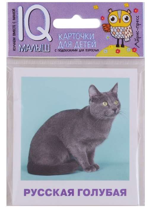 Набор карточек Породы кошек