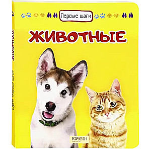Dzīvnieki