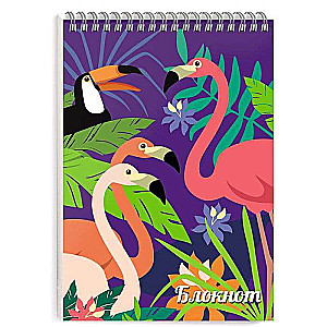 Bloknot, A6, 80 l, FLAMINGO