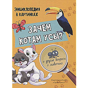 Kāpēc kaķiem ir ūsas?