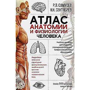 Cilvēka anatomijas un fizioloģijas atlants. Mācību līdzeklis vidējās profesionālās izglītības iestāžu studentiem