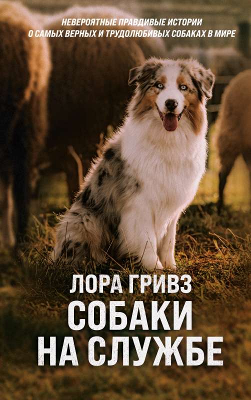 Suņi kalpošanā