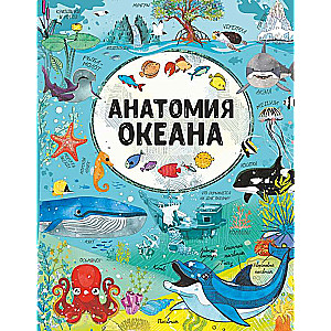 Anatomija okeāna