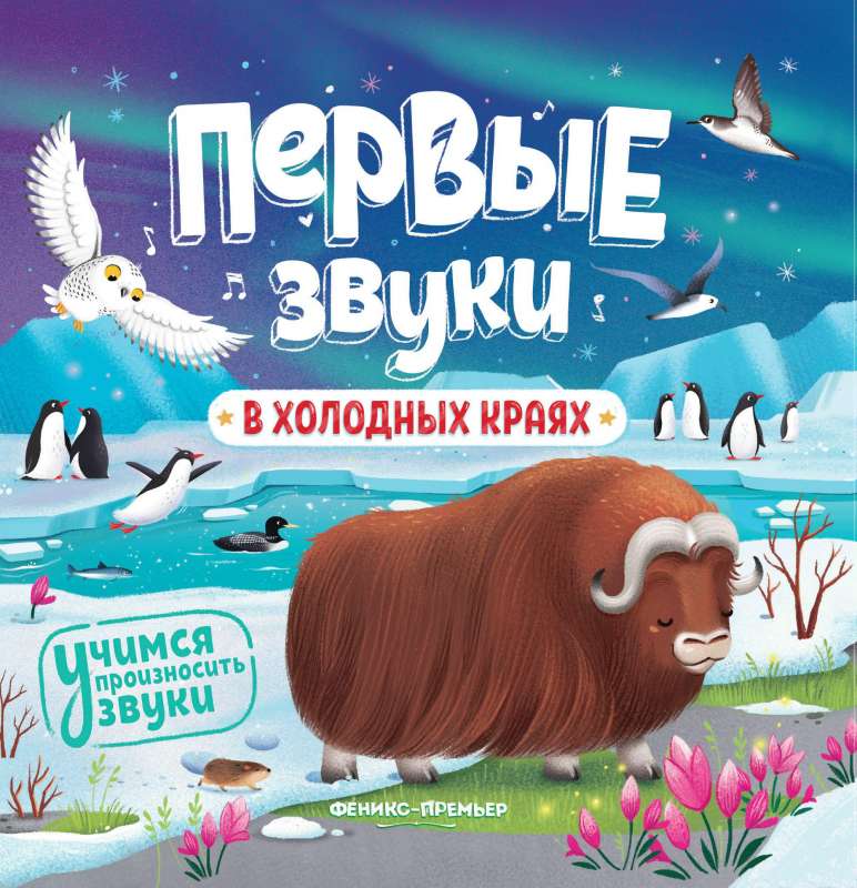 В холодных краях