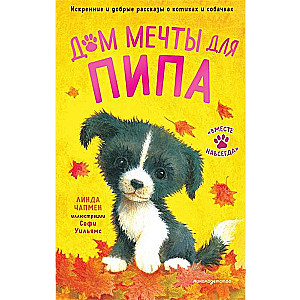 Sapņu māja Pipa