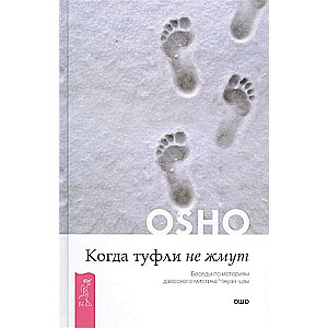 Kad kurpes nesaspiež. Sarunas par daoistu mistiķa Čžuan-czi stāstiem